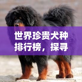 敷衍了事