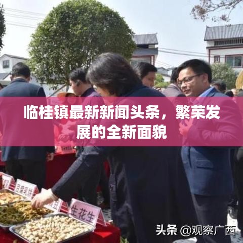 豪门贵胄