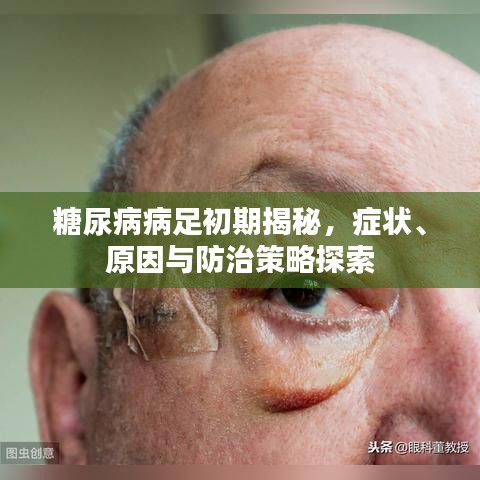 翰飞戾天