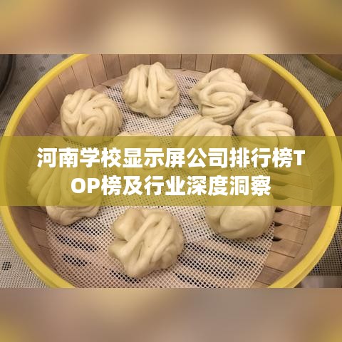 纲挈目张