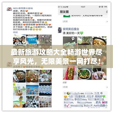 一石二鸟