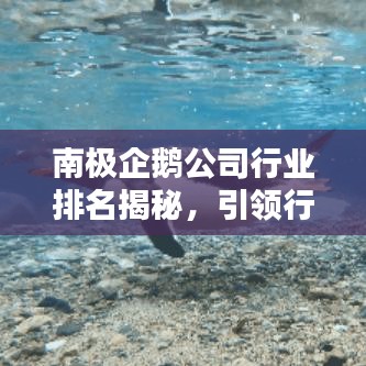 蛙鼓蝉鸣