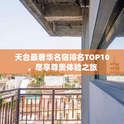 林下风气