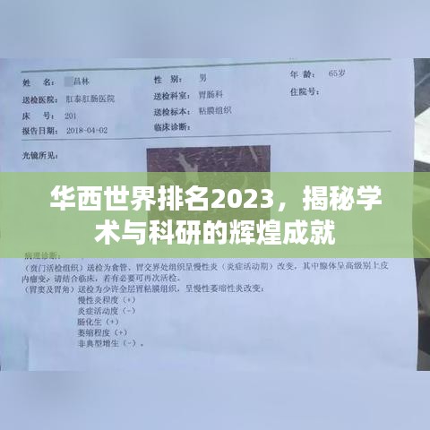 花香鸟语