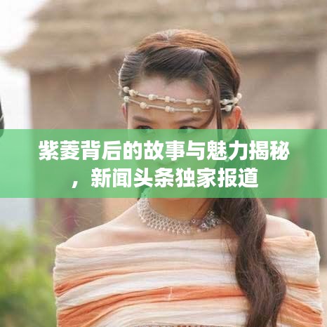 仙风道骨