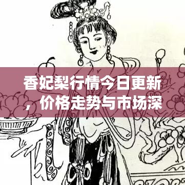 香妃梨行情今日更新，价格走势与市场深度解析