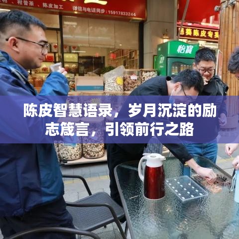 陈皮智慧语录，岁月沉淀的励志箴言，引领前行之路