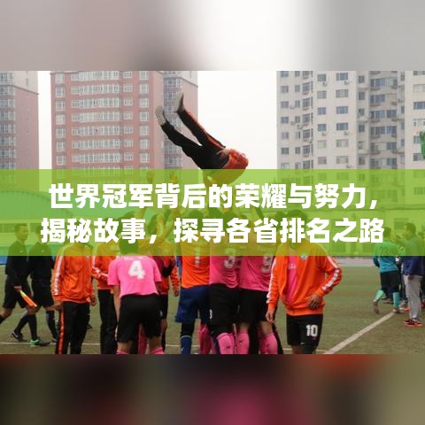 世界冠军背后的荣耀与努力，揭秘故事，探寻各省排名之路的艰辛与辉煌