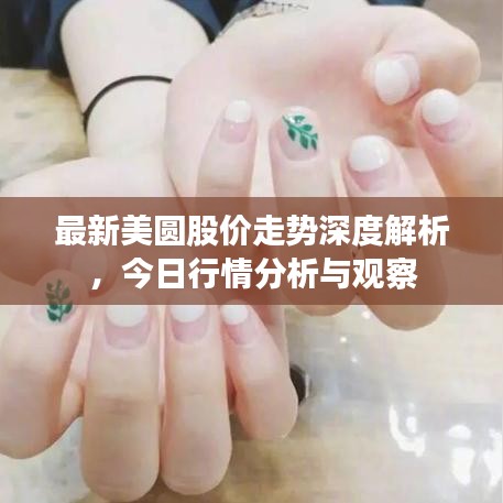 最新美圆股价走势深度解析，今日行情分析与观察