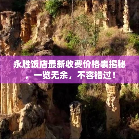 永胜饭店最新收费价格表揭秘，一览无余，不容错过！