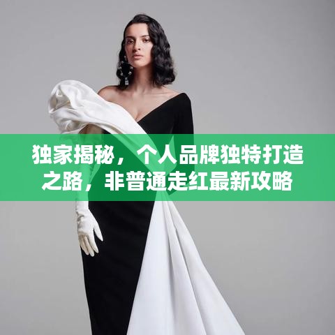 独家揭秘，个人品牌独特打造之路，非普通走红最新攻略
