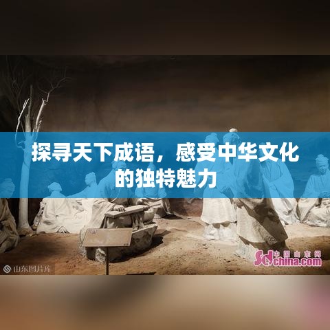 探寻天下成语，感受中华文化的独特魅力