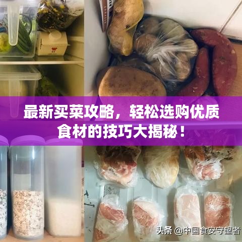 最新买菜攻略，轻松选购优质食材的技巧大揭秘！