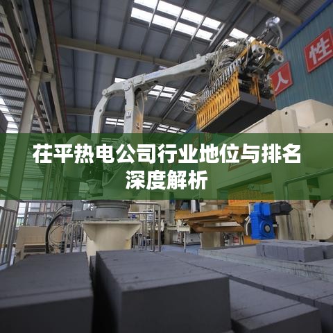 茌平热电公司行业地位与排名深度解析