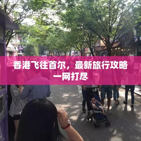 香港飞往首尔，最新旅行攻略一网打尽
