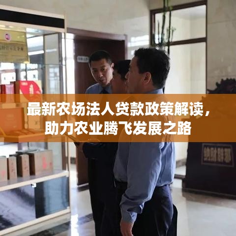 最新农场法人贷款政策解读，助力农业腾飞发展之路