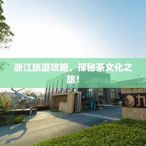 浙江旅游攻略，探秘茶文化之旅！