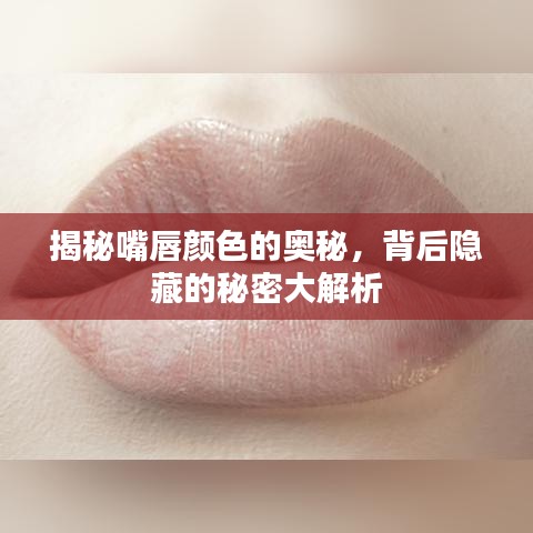 行业新闻 第86页