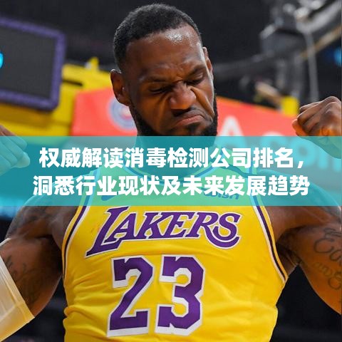 权威解读消毒检测公司排名，洞悉行业现状及未来发展趋势