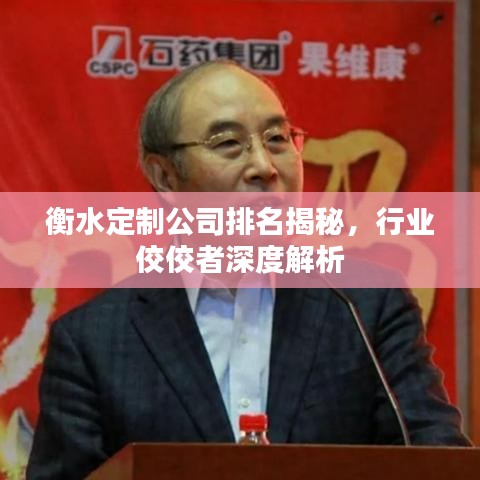 衡水定制公司排名揭秘，行业佼佼者深度解析