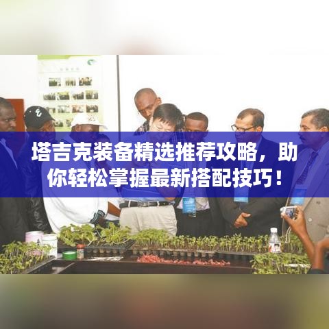 塔吉克装备精选推荐攻略，助你轻松掌握最新搭配技巧！