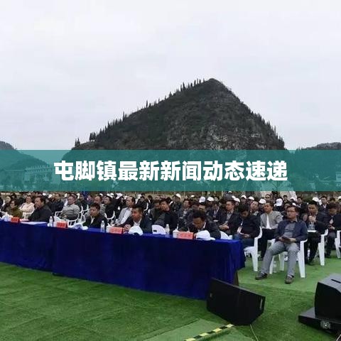 屯脚镇最新新闻动态速递