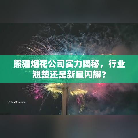 熊猫烟花公司实力揭秘，行业翘楚还是新星闪耀？