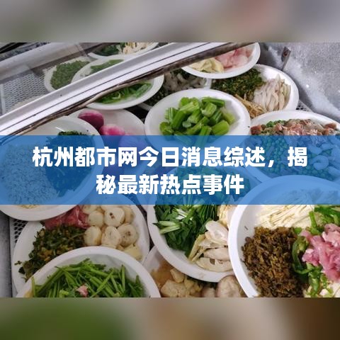 杭州都市网今日消息综述，揭秘最新热点事件