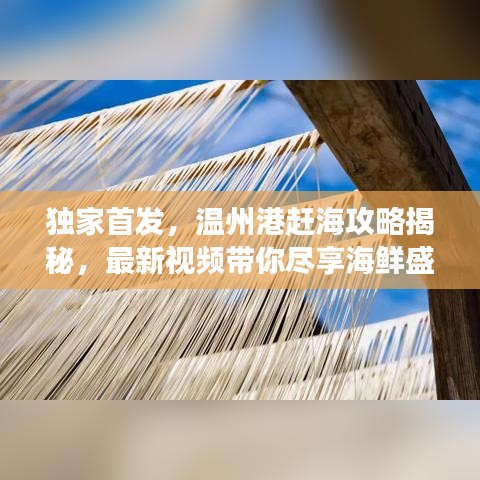 独家首发，温州港赶海攻略揭秘，最新视频带你尽享海鲜盛宴之旅