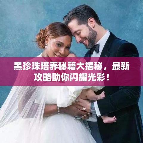 黑珍珠培养秘籍大揭秘，最新攻略助你闪耀光彩！