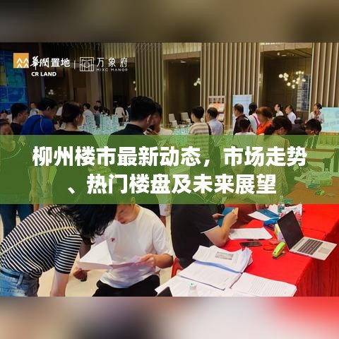 柳州楼市最新动态，市场走势、热门楼盘及未来展望