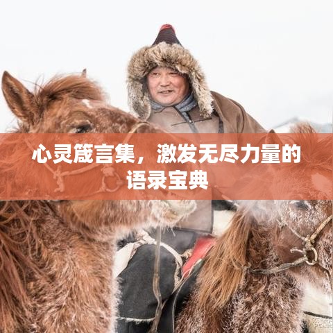 心灵箴言集，激发无尽力量的语录宝典