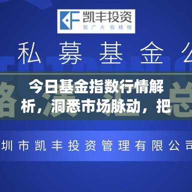 今日基金指数行情解析，洞悉市场脉动，把握投资良机