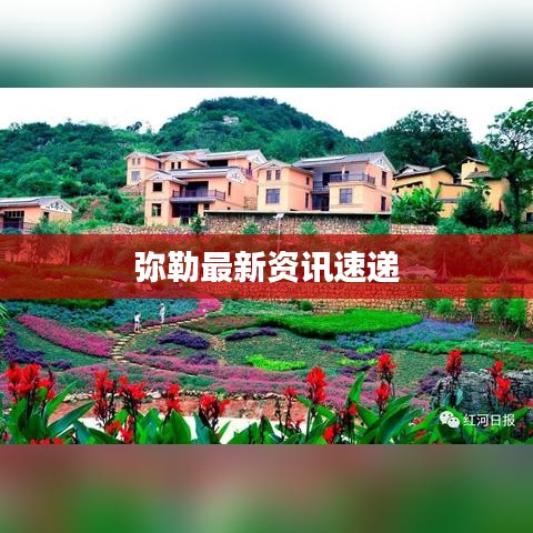 弥勒最新资讯速递