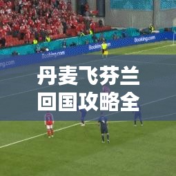 丹麦飞芬兰回国攻略全解析，最新指南助你顺利返程