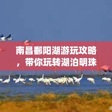 南昌鄱阳湖游玩攻略，带你玩转湖泊明珠