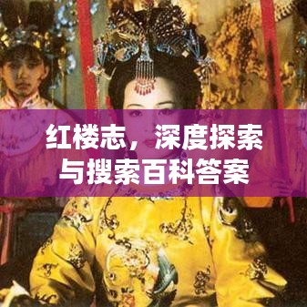 红楼志，深度探索与搜索百科答案