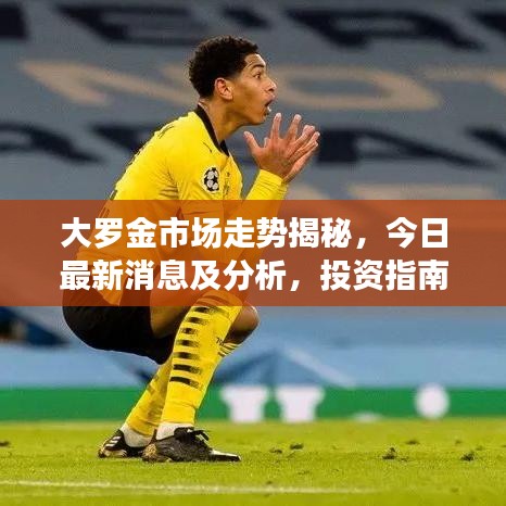 大罗金市场走势揭秘，今日最新消息及分析，投资指南全解析
