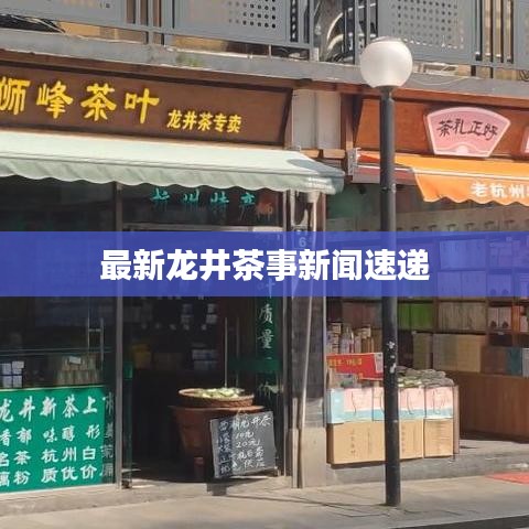 最新龙井茶事新闻速递
