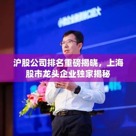 沪股公司排名重磅揭晓，上海股市龙头企业独家揭秘