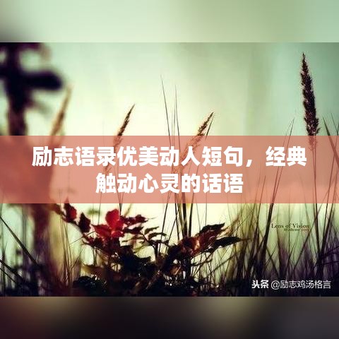 励志语录优美动人短句，经典触动心灵的话语