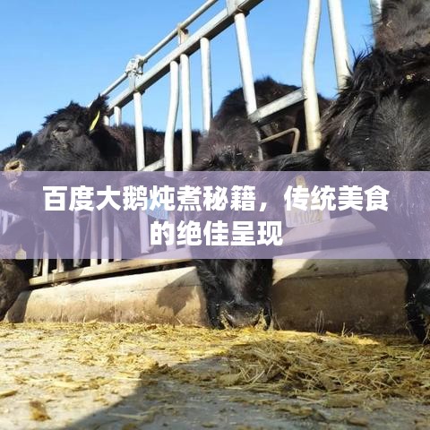 百度大鹅炖煮秘籍，传统美食的绝佳呈现