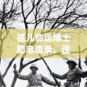 孤儿命运博士励志语录，逆境中的希望与勇气闪耀人生之路