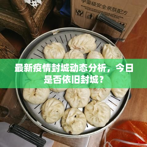 最新疫情封城动态分析，今日是否依旧封城？