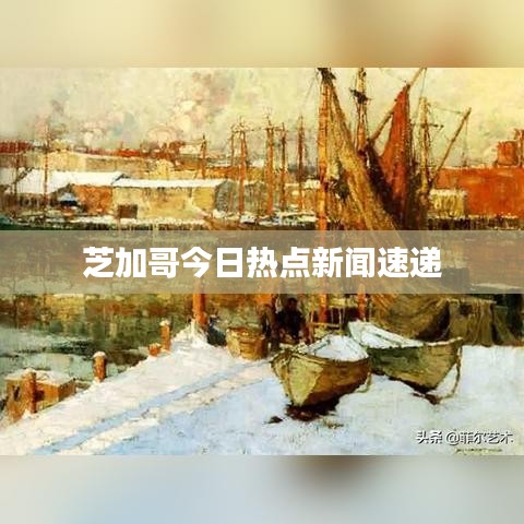 芝加哥今日热点新闻速递