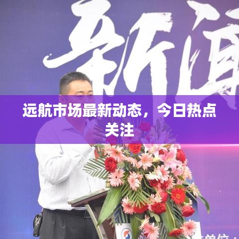 远航市场最新动态，今日热点关注