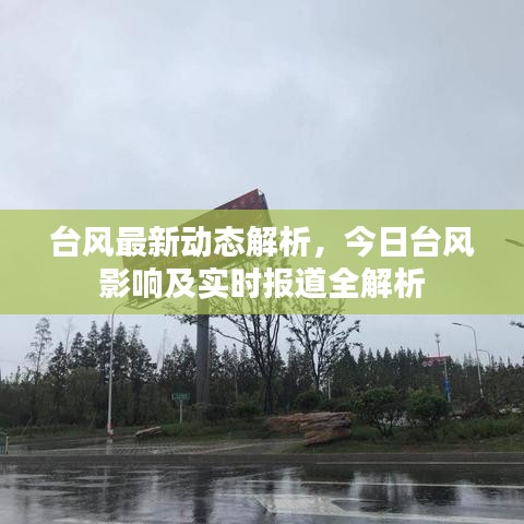 台风最新动态解析，今日台风影响及实时报道全解析