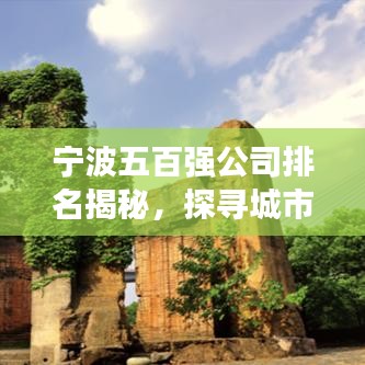 宁波五百强公司排名揭秘，探寻城市繁荣背后的驱动力