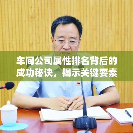 车间公司属性排名背后的成功秘诀，揭示关键要素，洞悉成功之道！