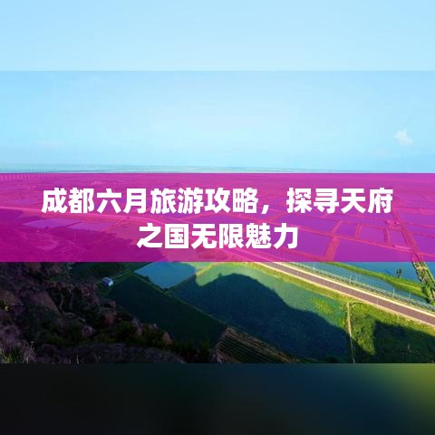 2025年5月 第70页
